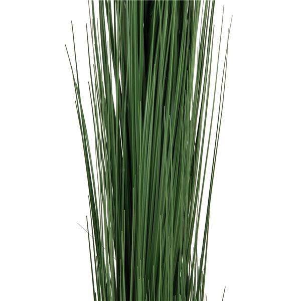 EUROPALMS Reed grass, dark green, 127cm