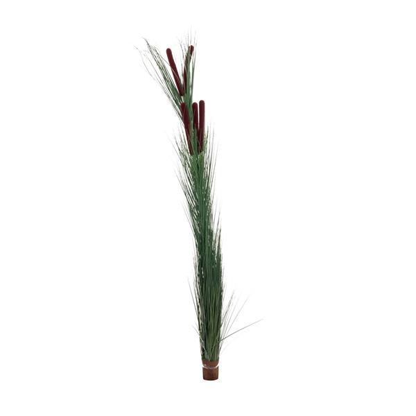 EUROPALMS Reed grass with cattails,dark-green,152cm