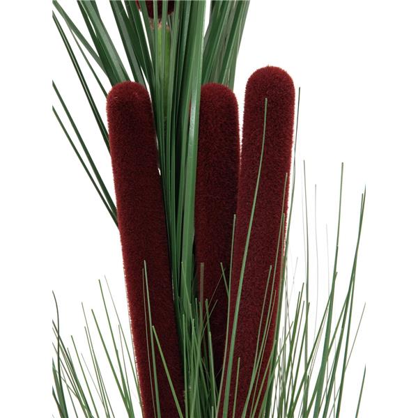 EUROPALMS Reed grass with cattails,dark-green,152cm