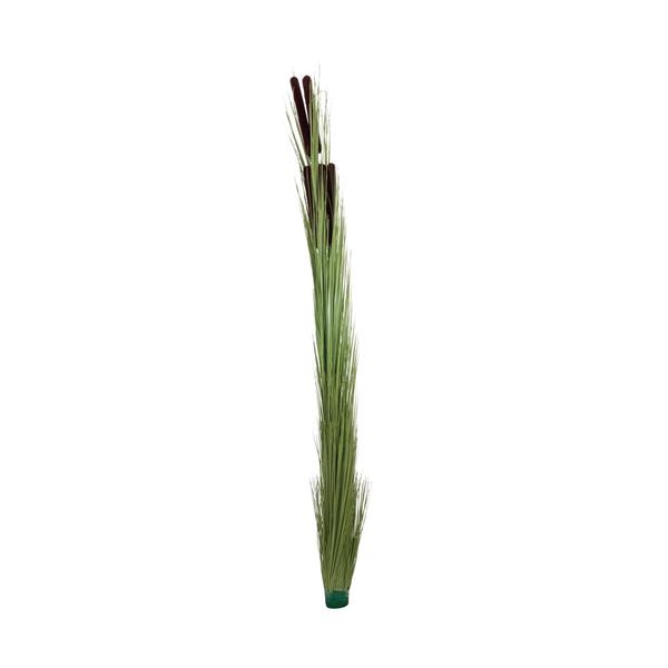 EUROPALMS Reed grass w/ cattails,light green,152cm