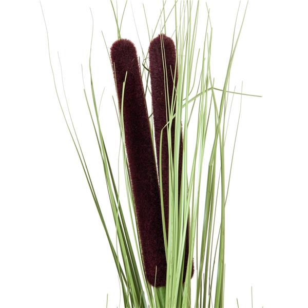 Reed trava cattails svetlo zelena 152cm EUROPALMS