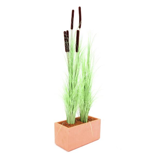 EUROPALMS Reed grass w/ cattails,light green,152cm