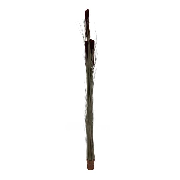 EUROPALMS Reed grass cattails, dark-brown, 152cm