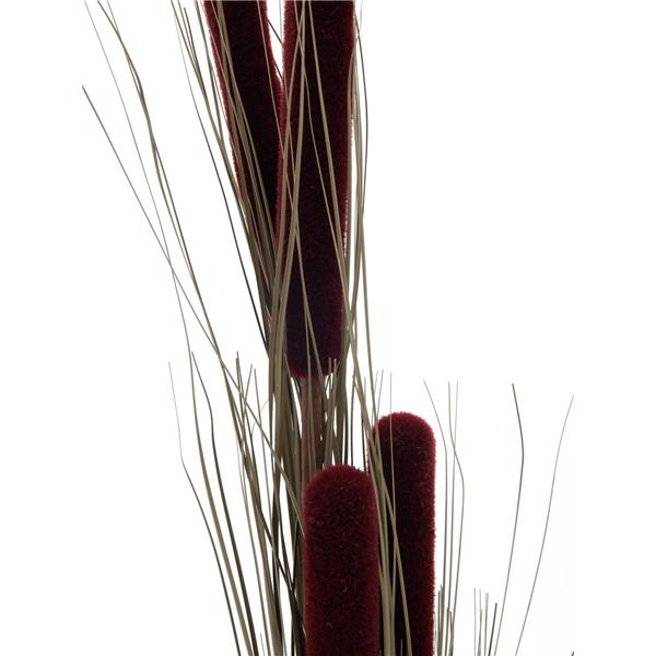 EUROPALMS Reed grass cattails, dark-brown, 152cm