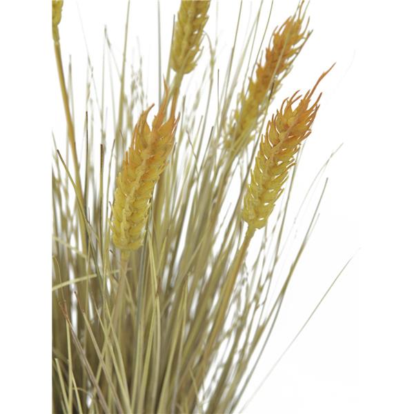 EUROPALMS Wheat ready to harvest 60cm