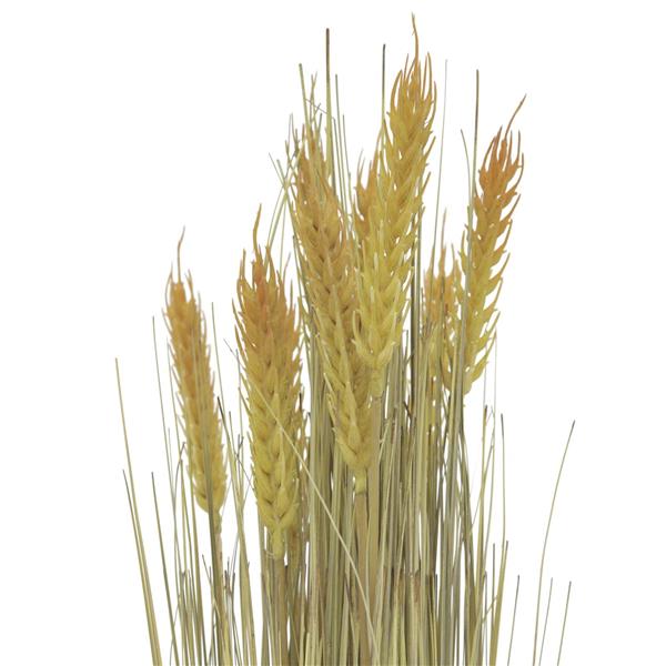 EUROPALMS Wheat bunch, 60cm