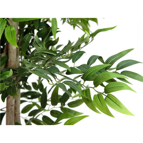 Ficus longifolia umetna rastlina 165cm EUROPALMS