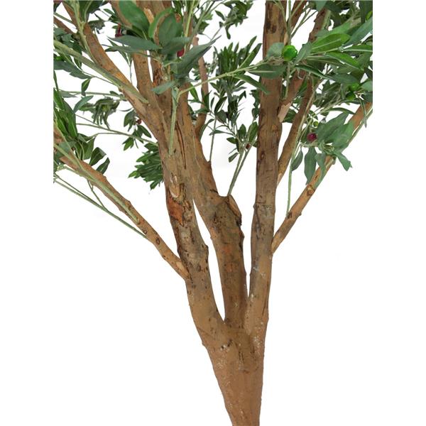 EUROPALMS Giant Olive tree, 250cm