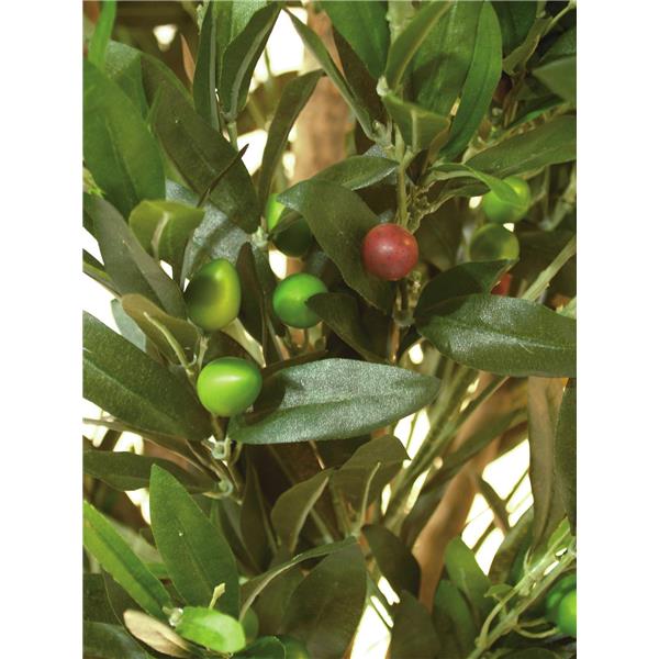 EUROPALMS Olive tree with fruits, 250cm