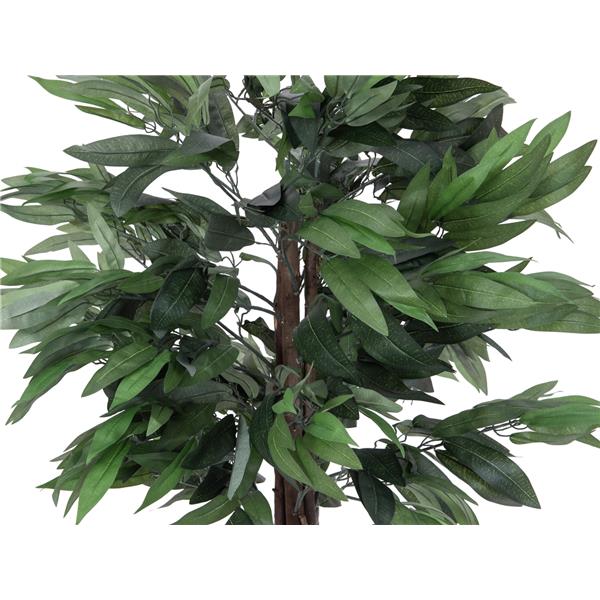 EUROPALMS Jungle tree Mango, 150cm