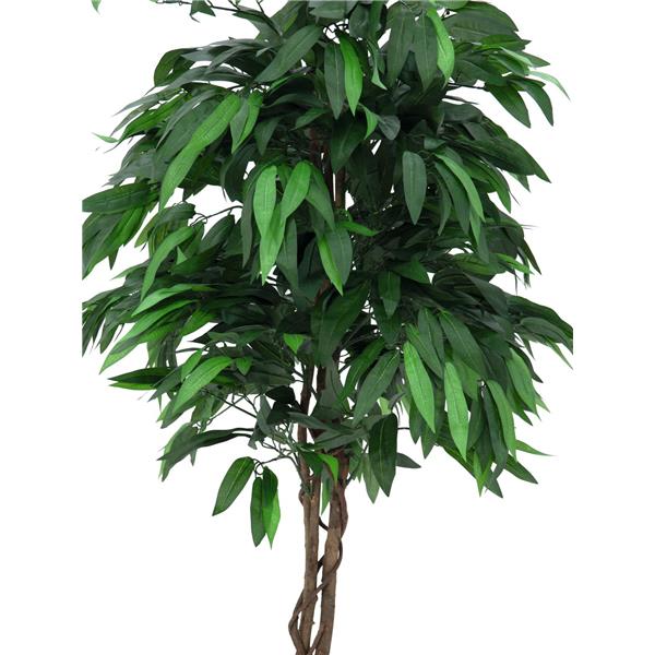 Drevo iz džungle Mango 180cm EUROPALMS