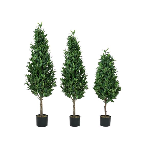 EUROPALMS Laurel Cone Tree, high trunk, 150cm