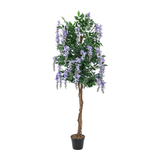 EUROPALMS Wisteria, purple, 150cm