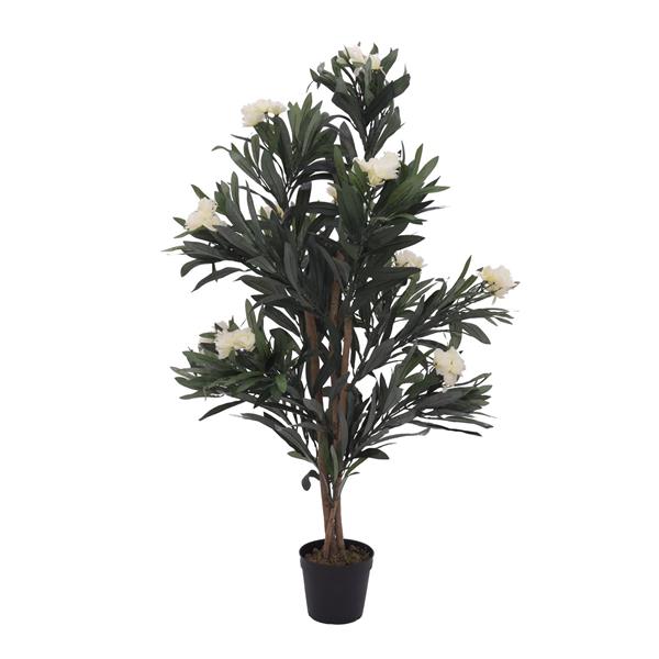 EUROPALMS Oleander tree, white, 120 cm