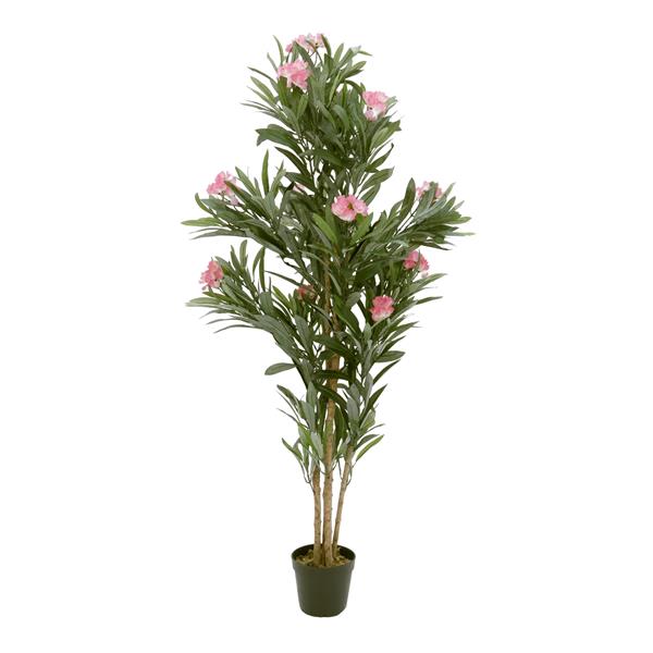 EUROPALMS Oleander tree, pink, 150 cm