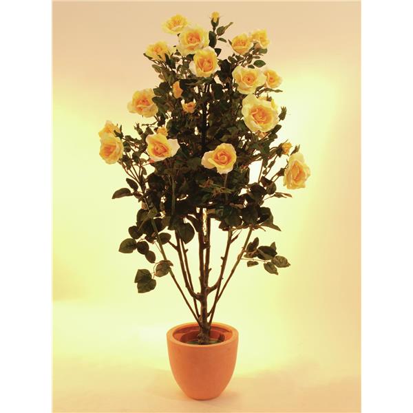 EUROPALMS Rose shrub, light-yellow, 140cm