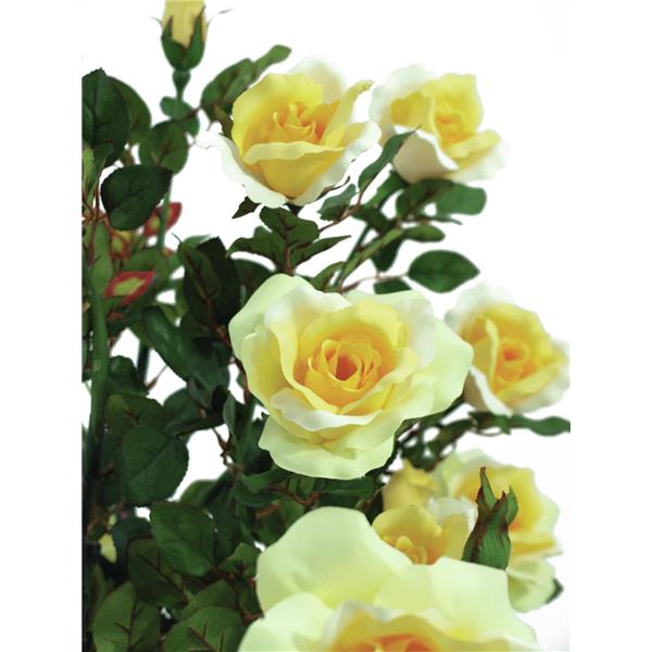 Rose grm svetlo rumene barve 140cm EUROPALMS