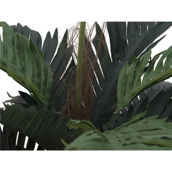 Kokosova palma 90cm EUROPALMS
