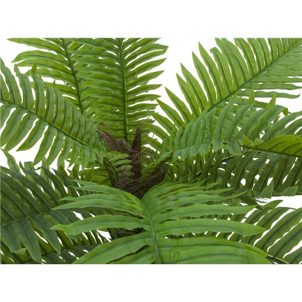 EUROPALMS Cycas palm tree, artificial plant, 70cm