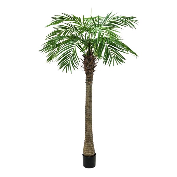 EUROPALMS Phoenix palm tree luxor, 150cm