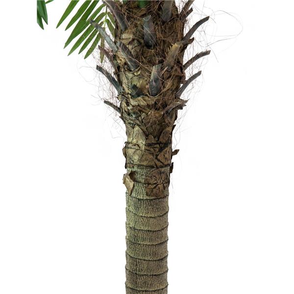 EUROPALMS Phoenix palm tree luxor, 150cm