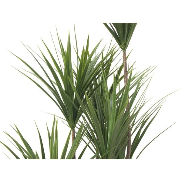 EUROPALMS Yucca palm, artificial plant, 130cm