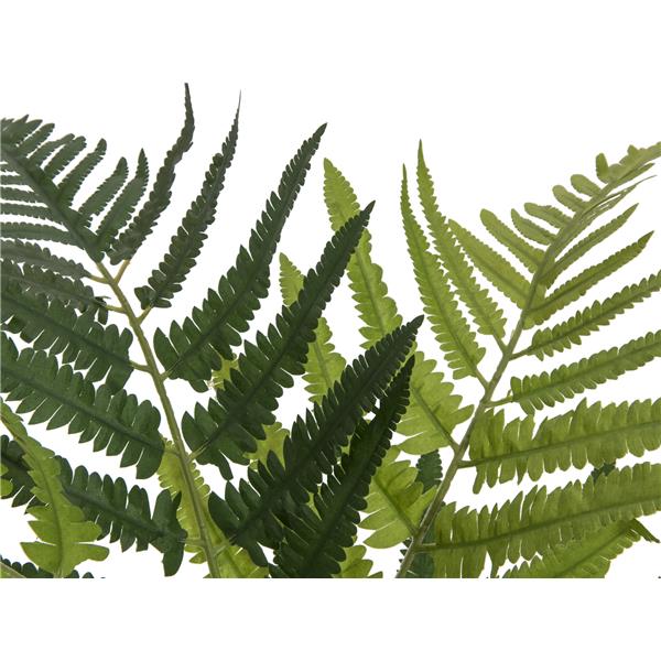 Lady Fern 60 cm EUROPALMS