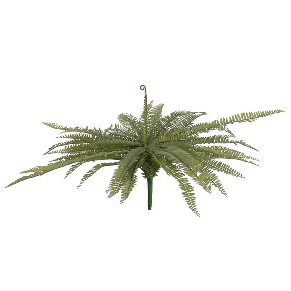 EUROPALMS Boston fern, green, 70cm