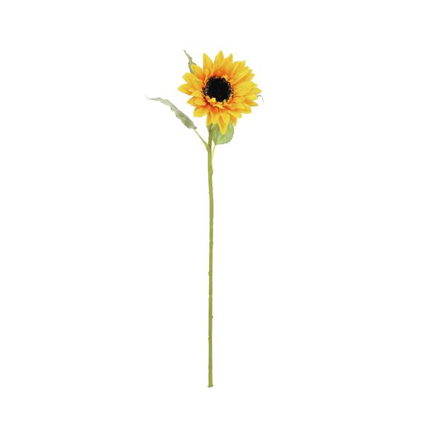 EUROPALMS Sunflower, 70cm