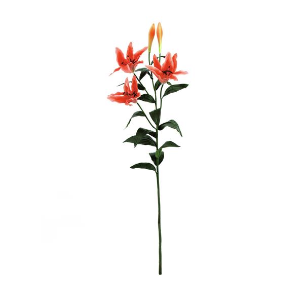 EUROPALMS Tiger lily, orange, 97cm