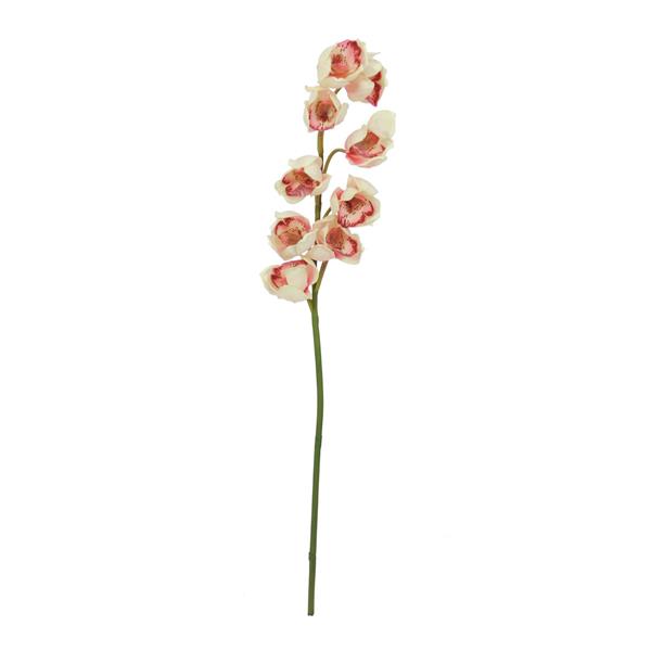 EUROPALMS Cymbidium spray, cream-pink, 90cm