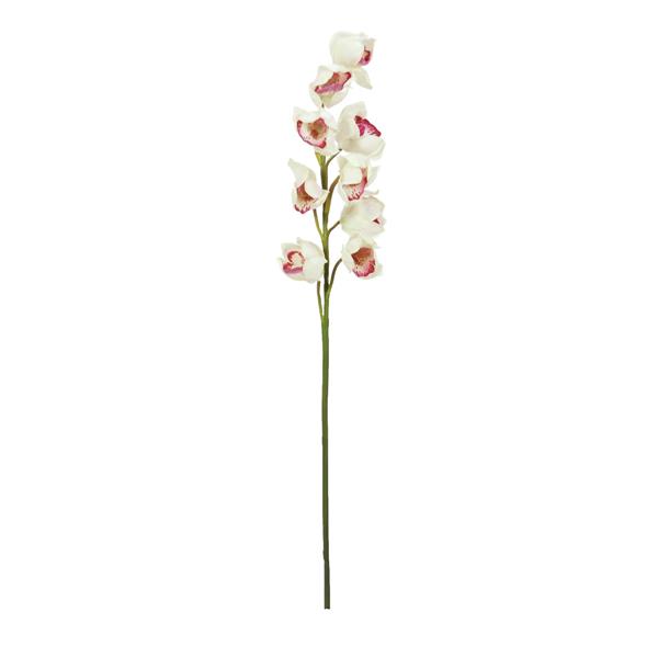 Cymbidium Vejica bela-roza 90cm EUROPALMS