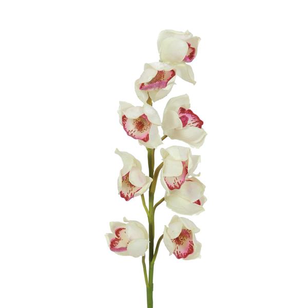 EUROPALMS Cymbidium spray, white-pink, 90cm