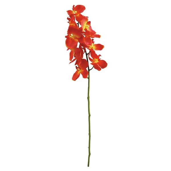 EUROPALMS Orchid spray, orange, 70cm