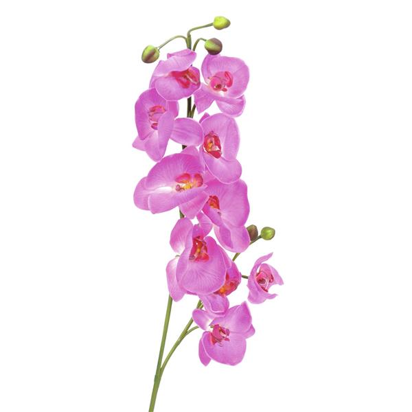 EUROPALMS Orchid spray, purple, 100cm