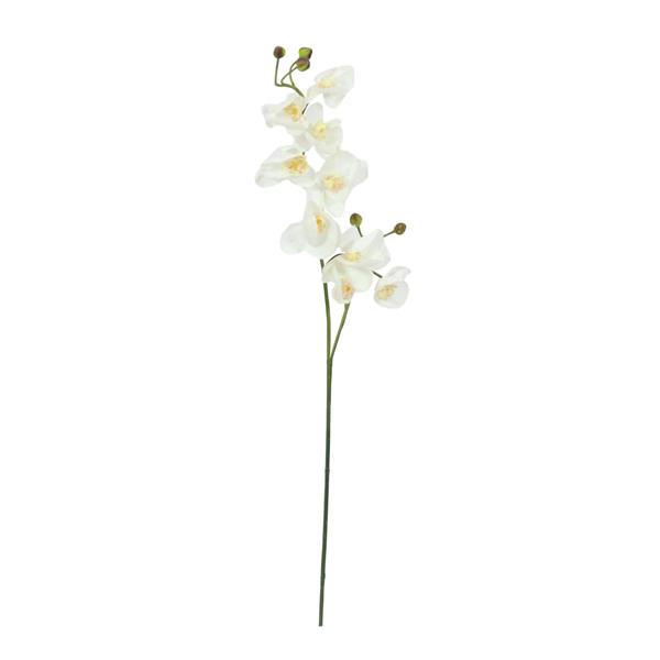 Orhidejski Vejica kremno bel 100cm EUROPALMS
