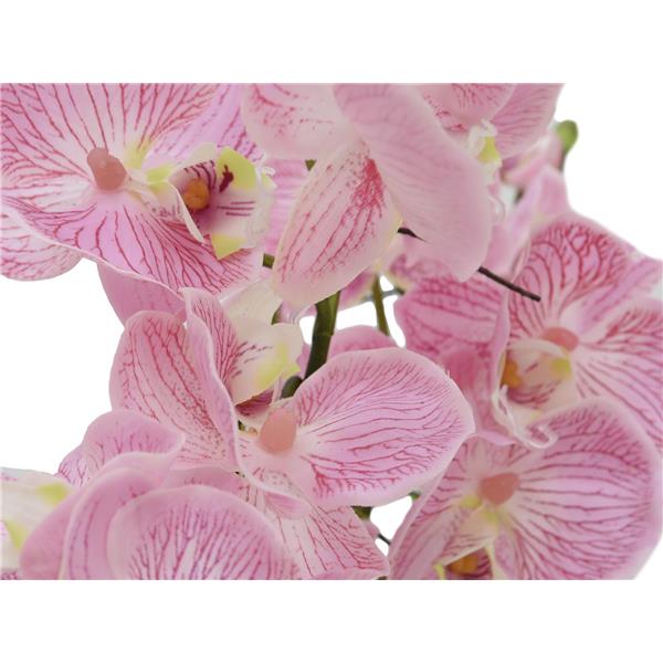 Aranžma orhideje EVA vijolična EUROPALMS