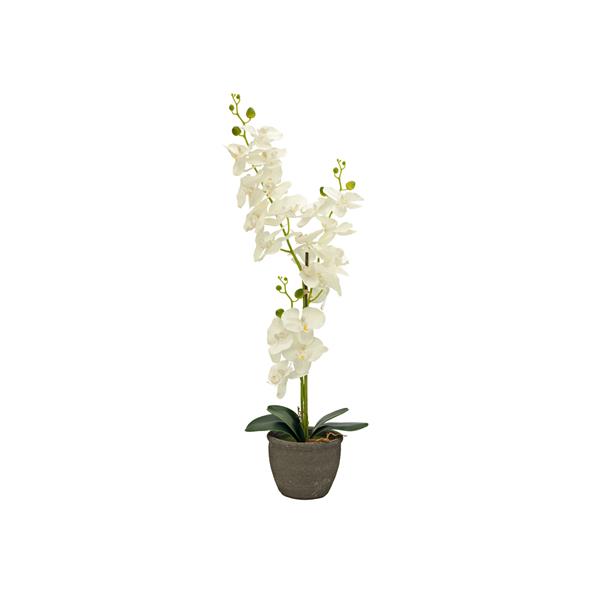 EUROPALMS Orchid, artificial plant, cream, 80cm