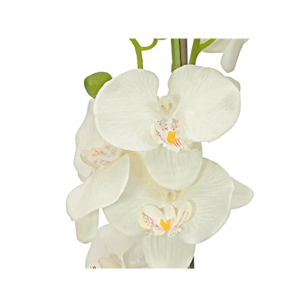 Orhideja umetna rastlina smetana 80cm EUROPALMS