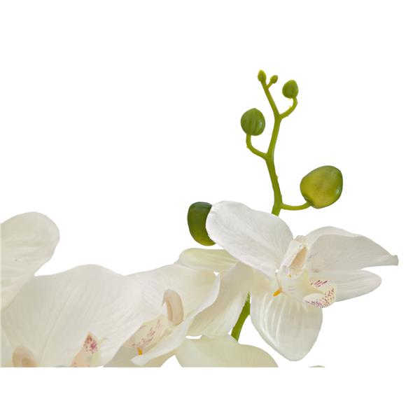 EUROPALMS Orchid, artificial plant, cream, 80cm