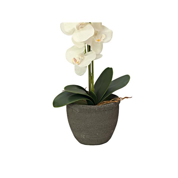 EUROPALMS Orchid, artificial plant, cream, 80cm
