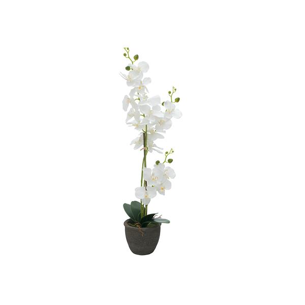 EUROPALMS Orchid, artificial plant, white, 80cm