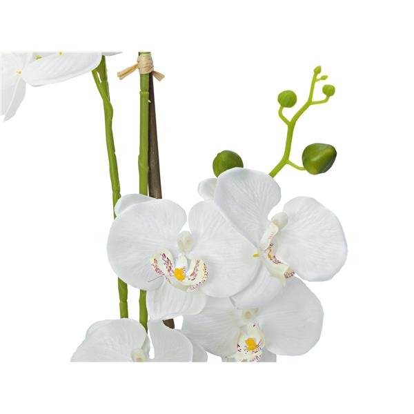 Orhideja umetna rastlina bela 80cm EUROPALMS