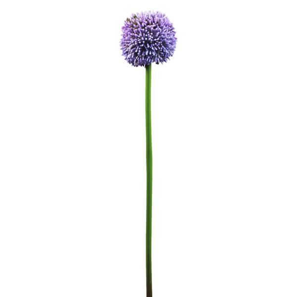 EUROPALMS Allium spray, lavender, 55cm