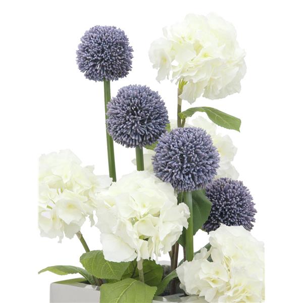 EUROPALMS Allium spray, lavender, 55cm