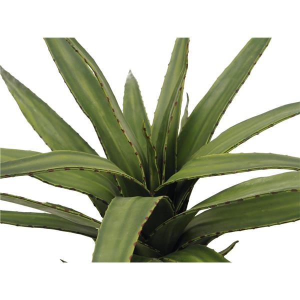 Aloe (EVA) zelena 50cm EUROPALMS