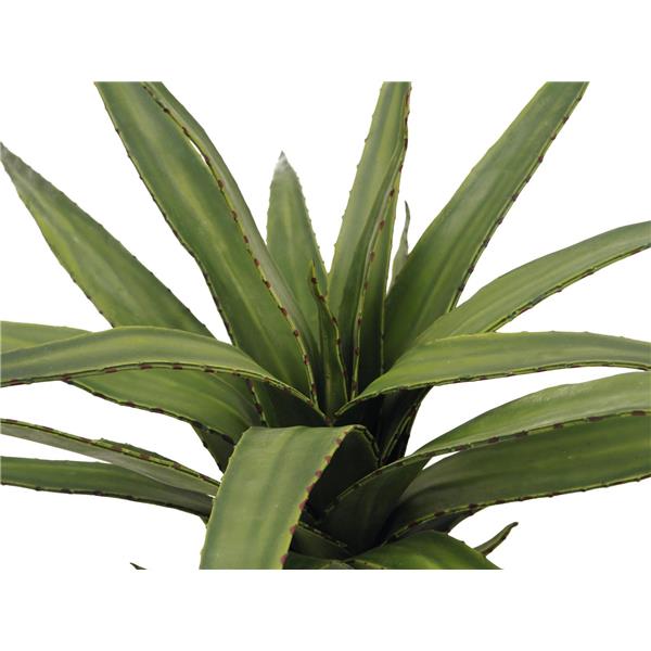 EUROPALMS Aloe (EVA), green, 50cm