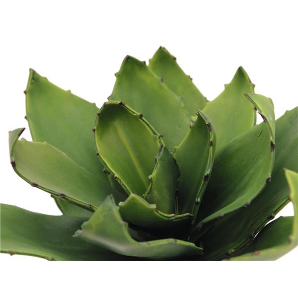 Agave (EVA) zelena 45cm EUROPALMS