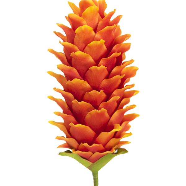 EUROPALMS Ginger Flower (EVA), Orange