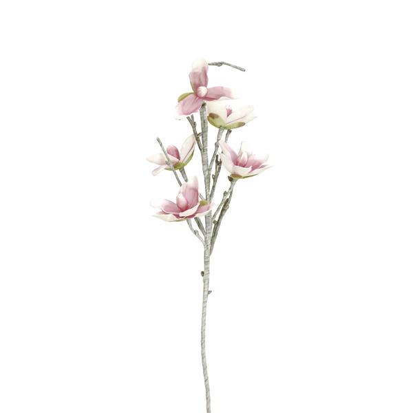 Vejica Magnolia (EVA) bela roza EUROPALMS